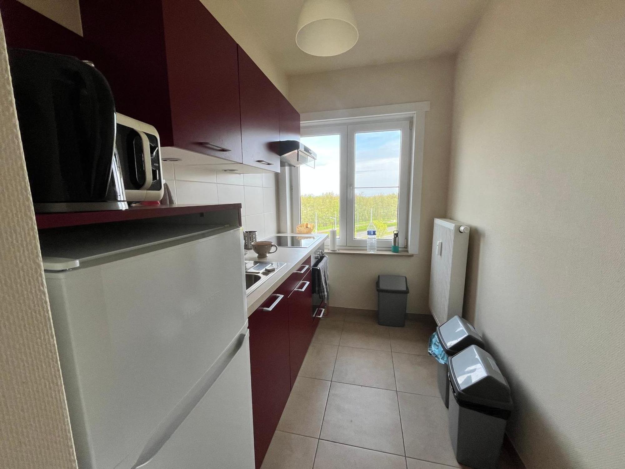 Cozy 2-bedroom Within Walking Distance Of The T62 Appartement Ostende